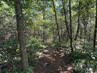 5963 Peniel Road, Tryon, NC 28782