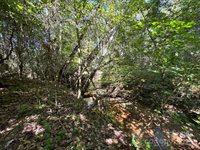 5963 Peniel Road, Tryon, NC 28782