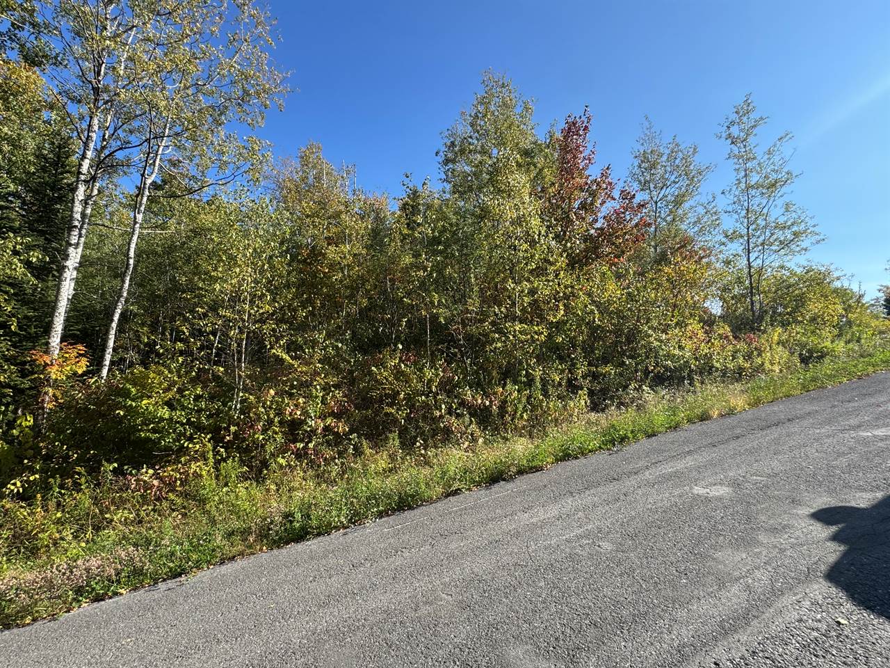 Map 28D Lot 45 Winter Street, Madawaska, ME 04756