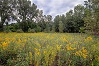 Cedar Lake Road, Kiel, WI 53042