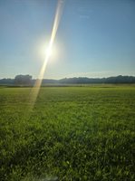 Velp Avenue, Suamico, WI 54173