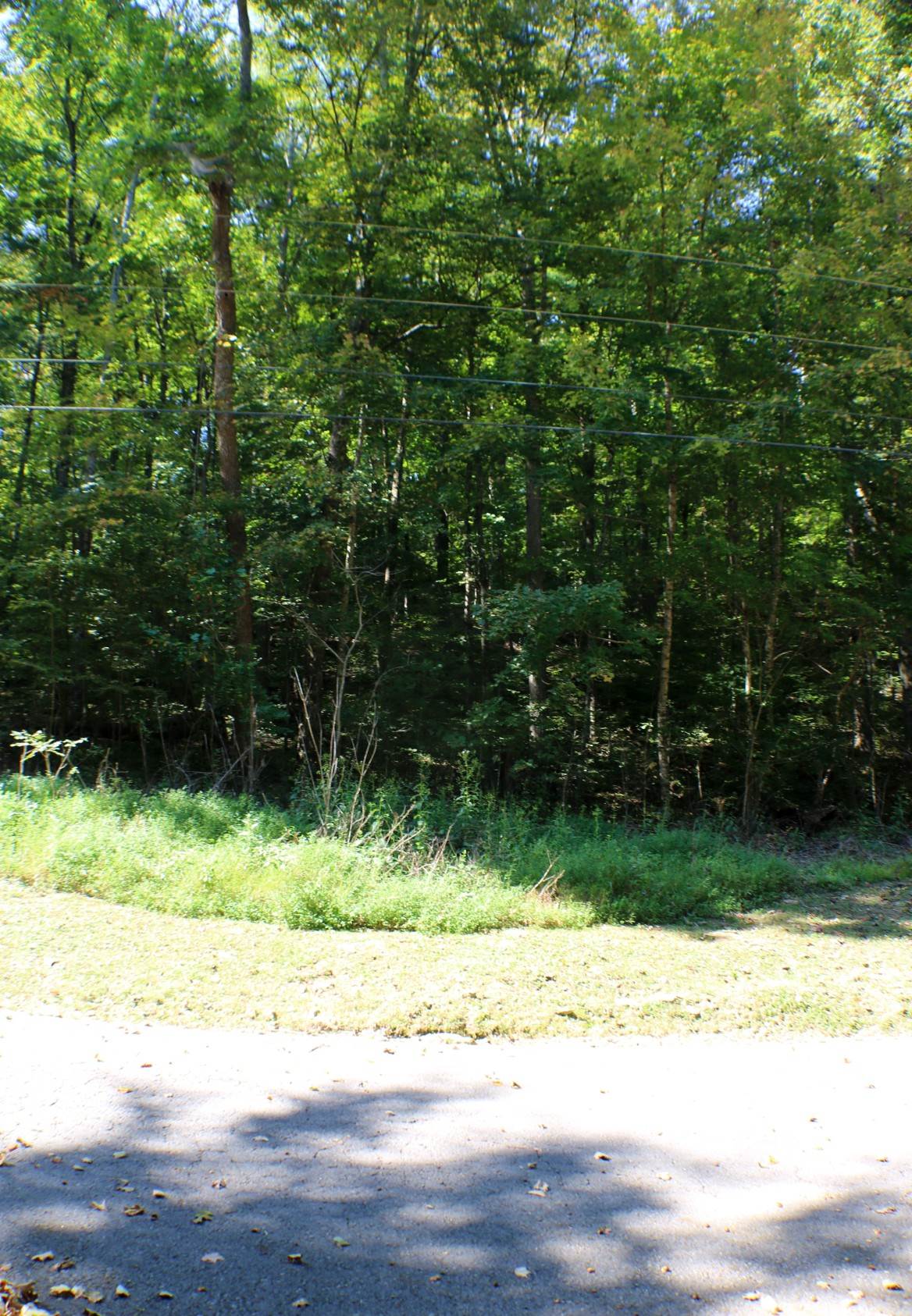 406 Harmony Lane, Burnside, KY 42519