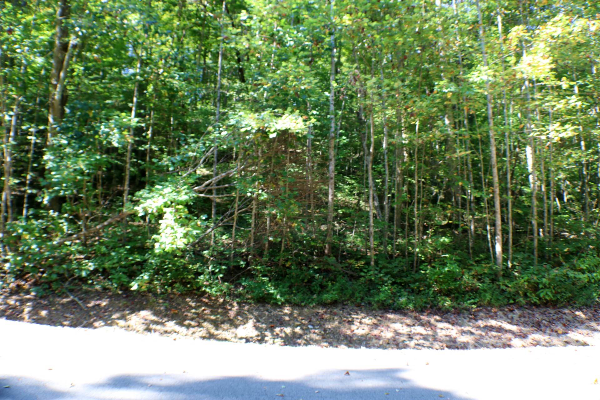 406 Harmony Lane, Burnside, KY 42519