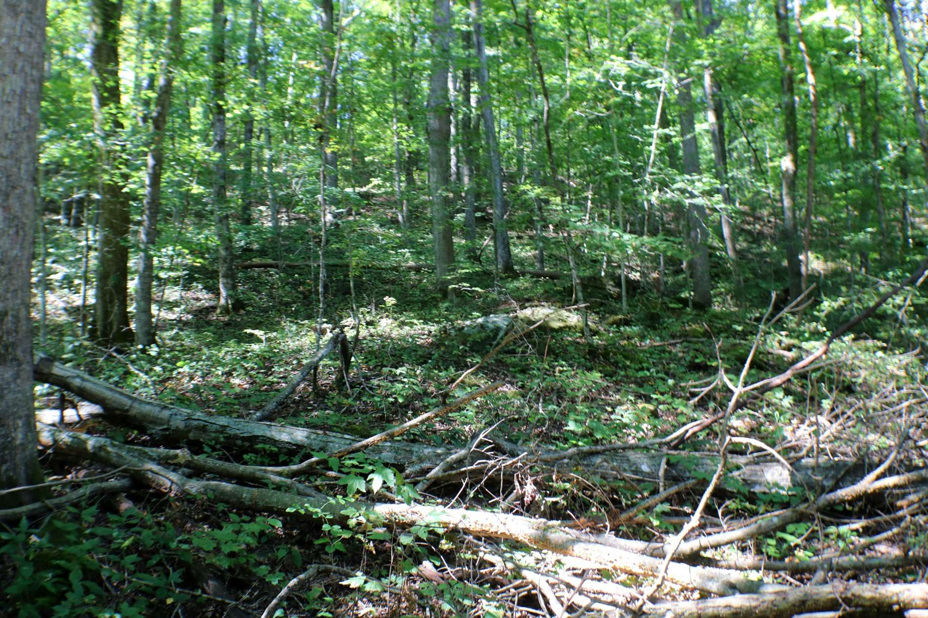 406 Harmony Lane, Burnside, KY 42519