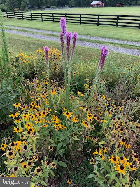 9178 Hannah Dustin, Casanova, VA 20139