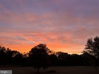 9178 Hannah Dustin Lane, Casanova, VA 20139