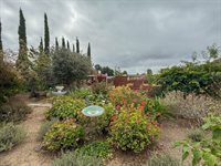 1170 Steinway AVE, Campbell, CA 95008