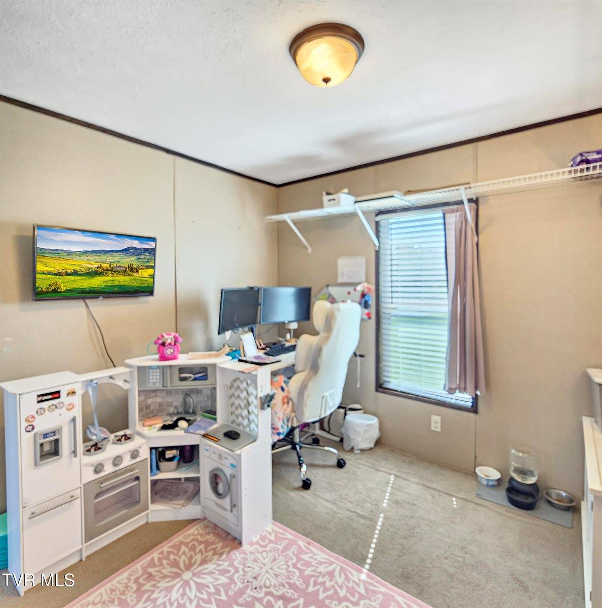 202 Harwood Road, Gray, TN 37615