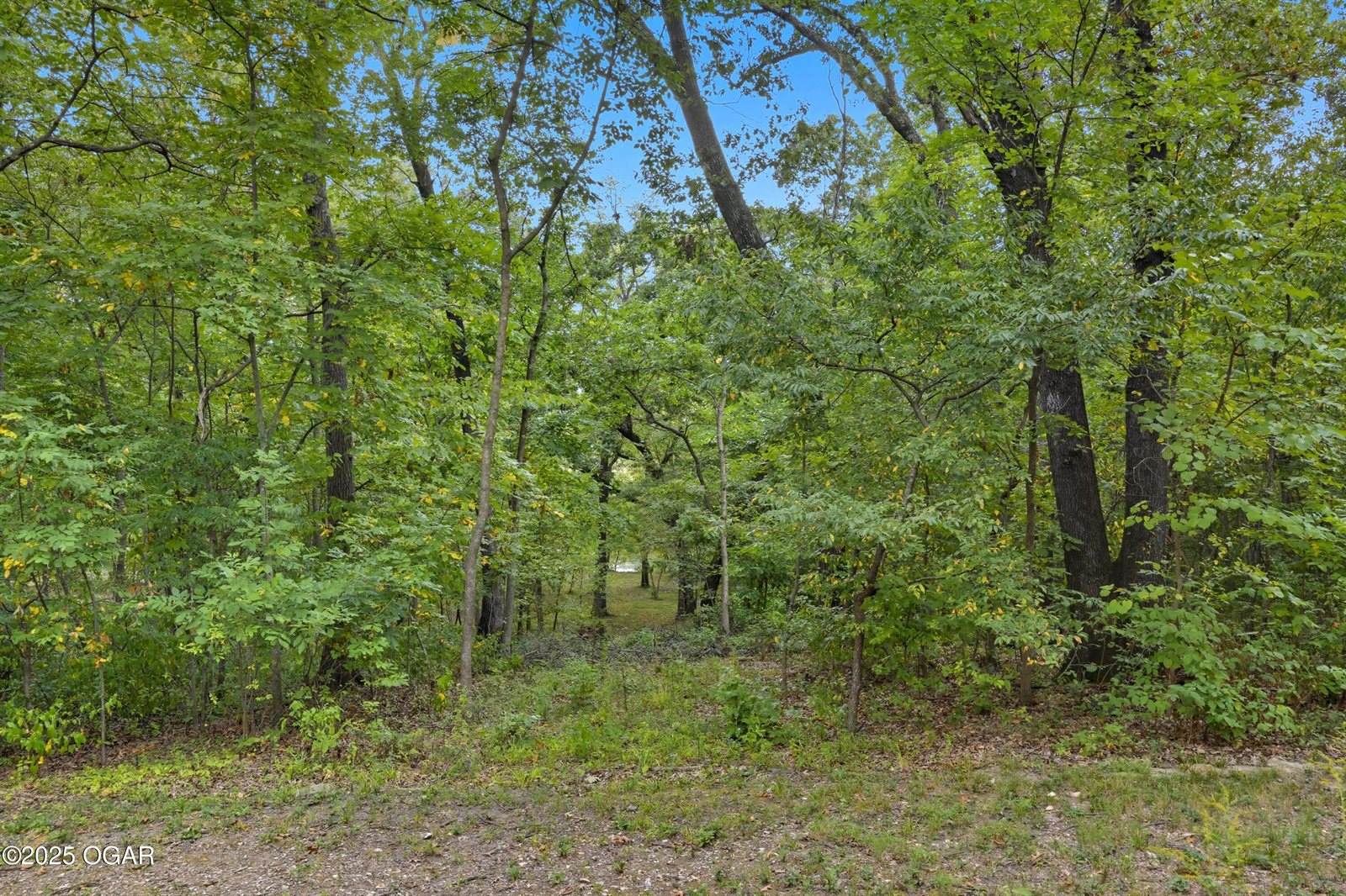 4948 Deer Run Loop, Carthage, MO 64836