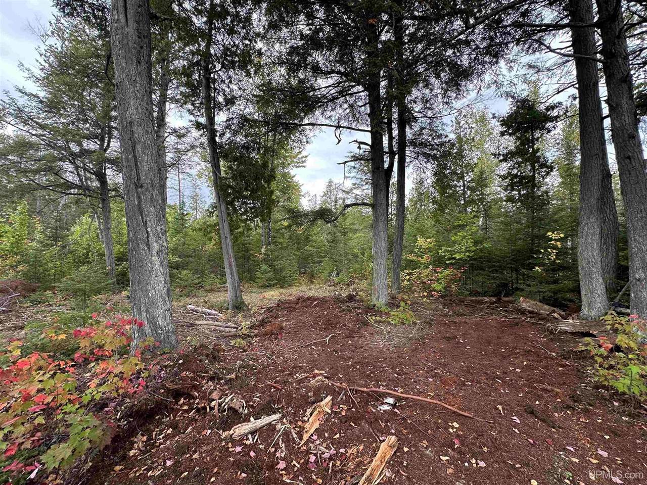 705 Winters Road, Trenary, MI 49891