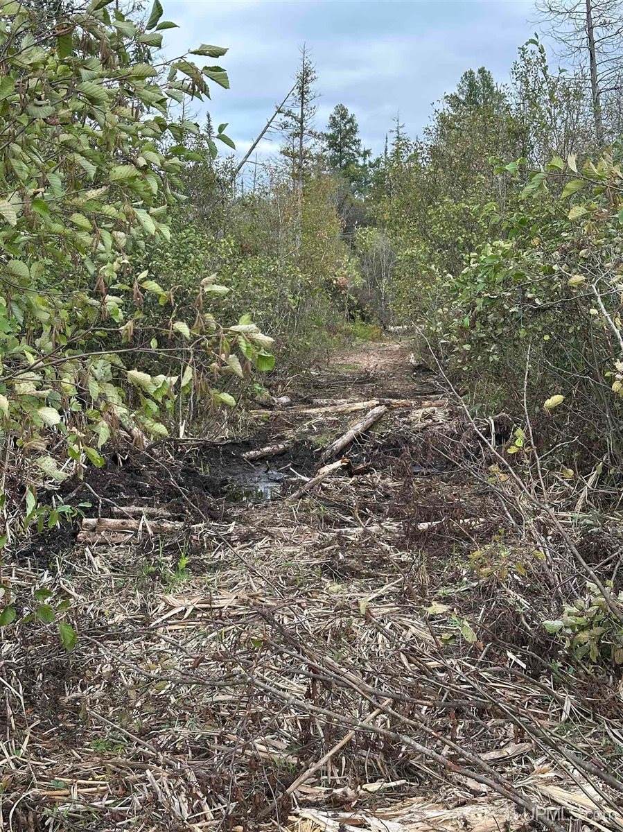 705 Winters Road, Trenary, MI 49891