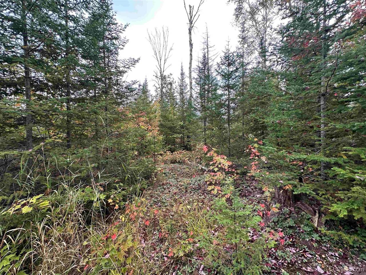 705 Winters Road, Trenary, MI 49891