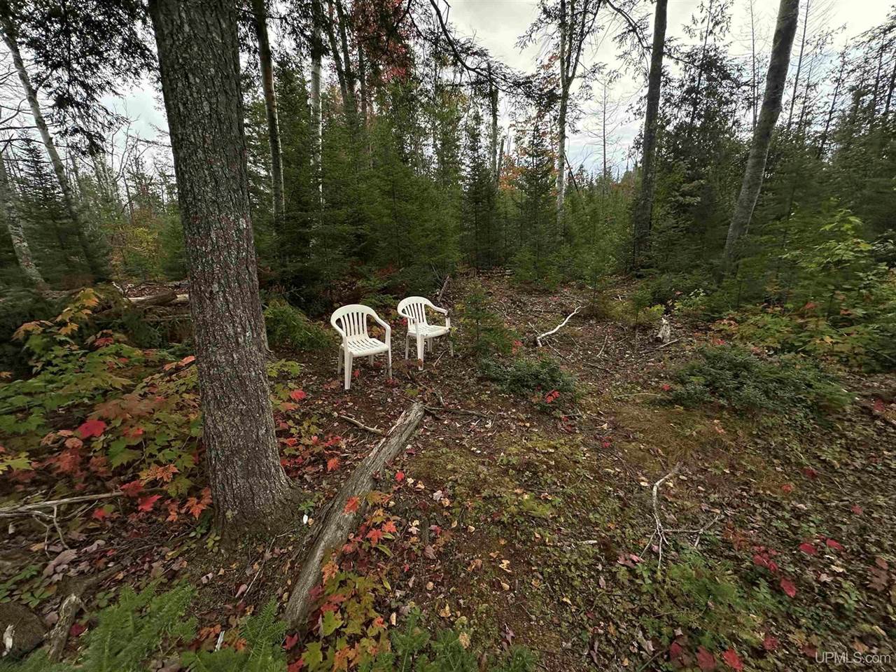 705 Winters Road, Trenary, MI 49891