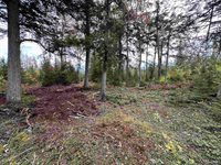 705 Winters Road, Trenary, MI 49891