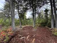 705 Winters Road, Trenary, MI 49891