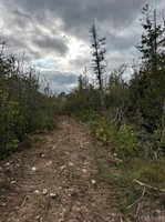 705 Winters Road, Trenary, MI 49891