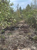 705 Winters Road, Trenary, MI 49891