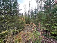 705 Winters Road, Trenary, MI 49891