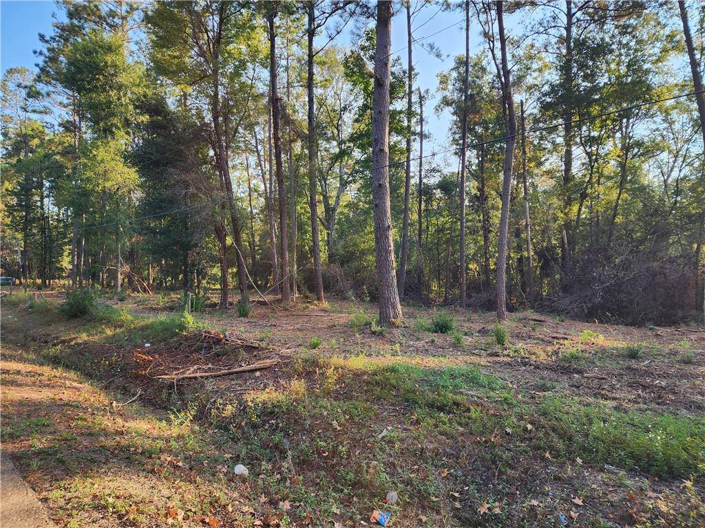 0.98 Acres Vacant Land 1-B Old Uneedus Road, Folsom, LA 70437