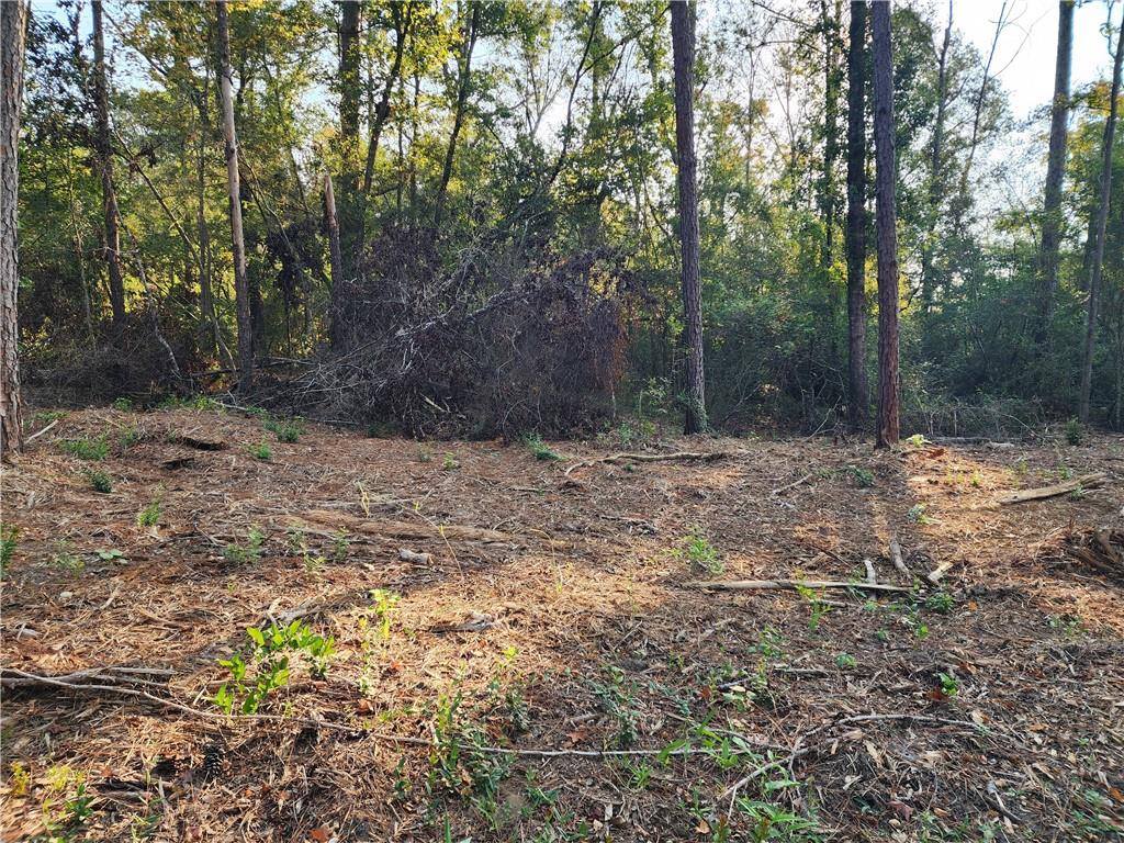 0.98 Acres Vacant Land 1-B Old Uneedus Road, Folsom, LA 70437