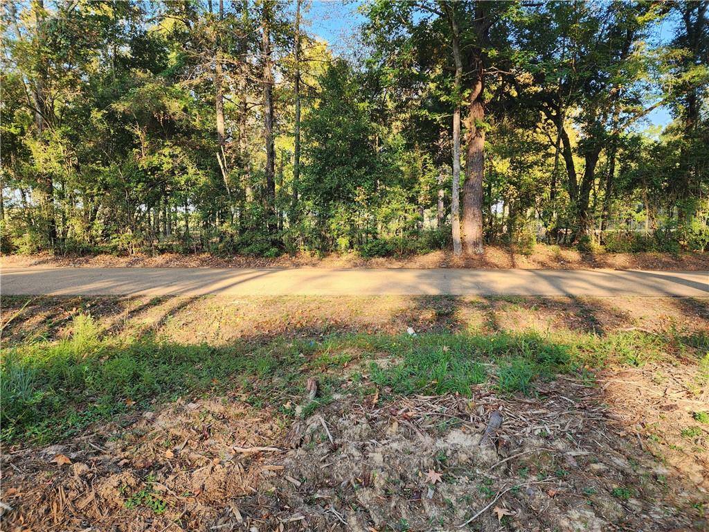 0.98 Acres Vacant Land 1-A Old Undeedus Road, Folsom, LA 70437