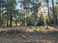 0.98 Acres Vacant Land 1-A Old Undeedus Road, Folsom, LA 70437