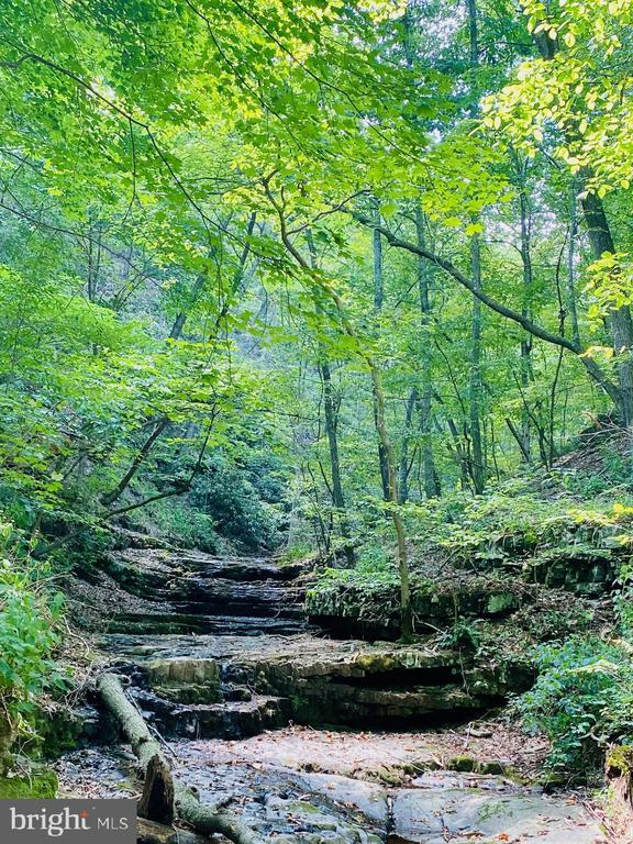 914 Plains Road, Paw Paw, WV 25434