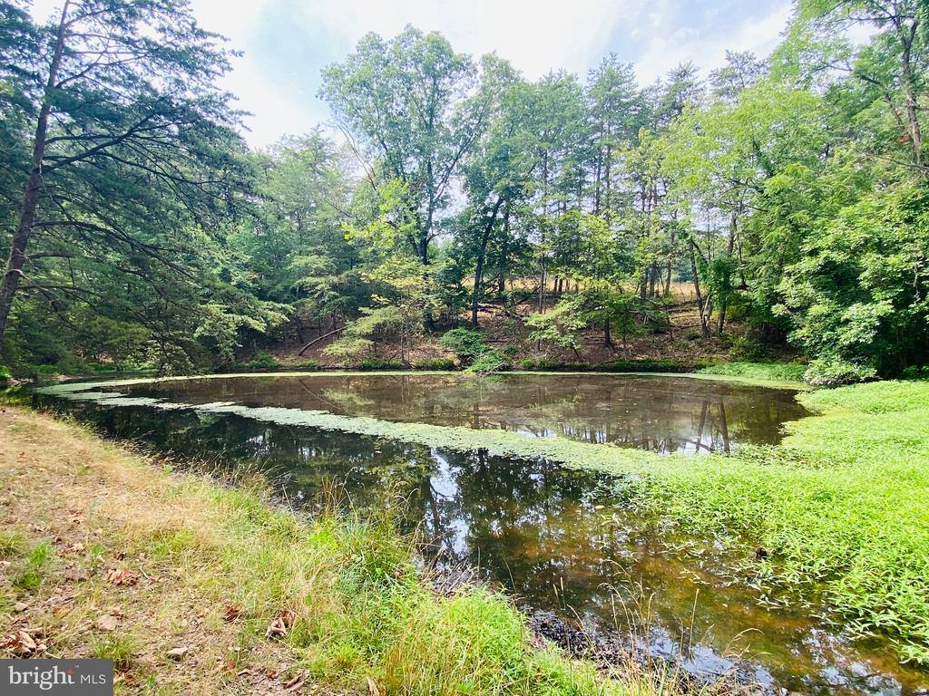 914 Plains Road, Paw Paw, WV 25434