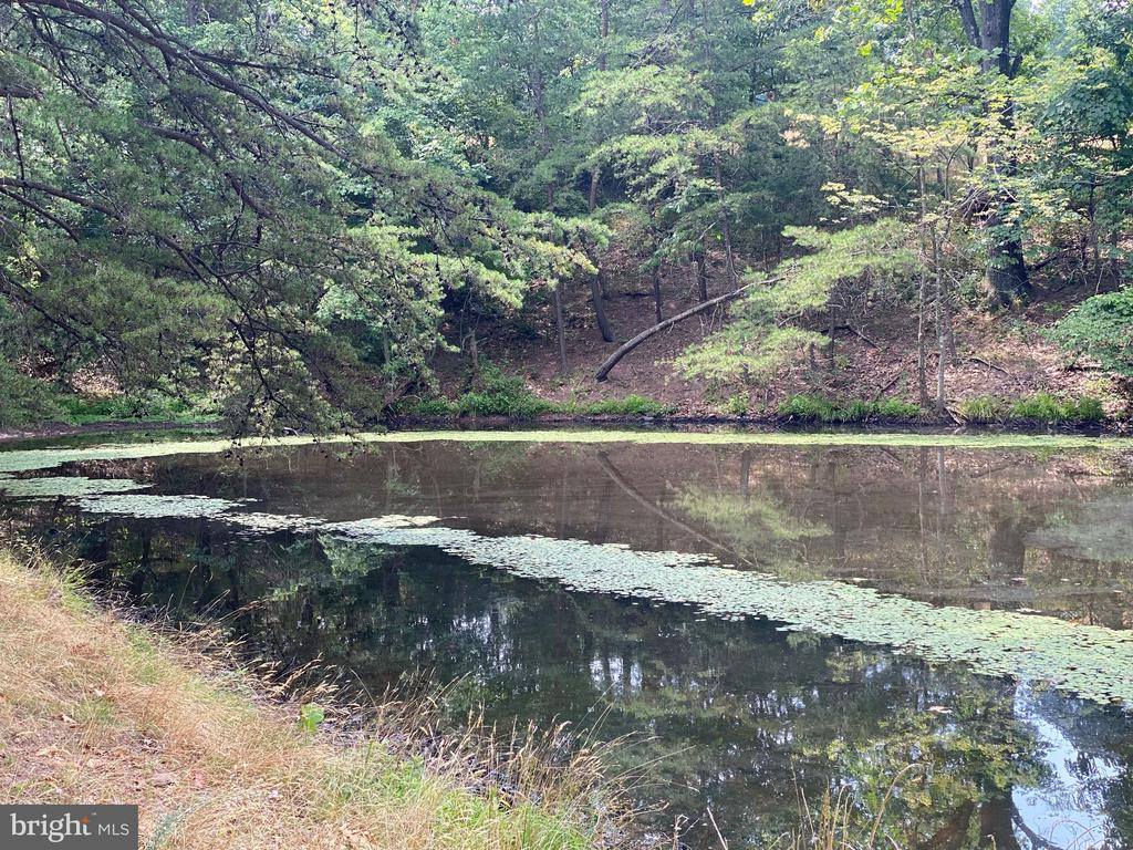 914 Plains Road, Paw Paw, WV 25434