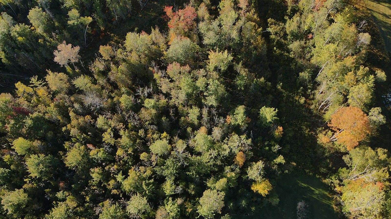 Lot 81 Fuller Road, Hermon, ME 04401