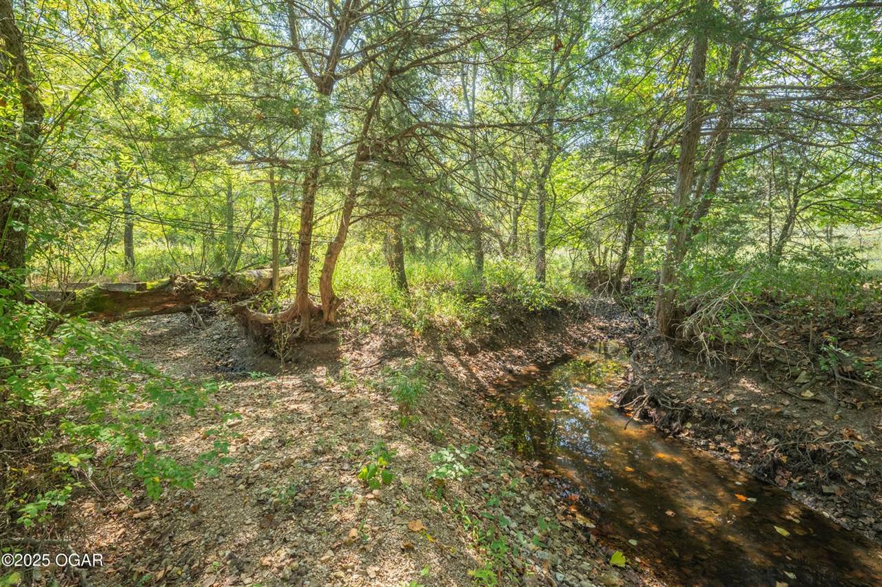 21399B Mulberry Road, Granby, MO 64844