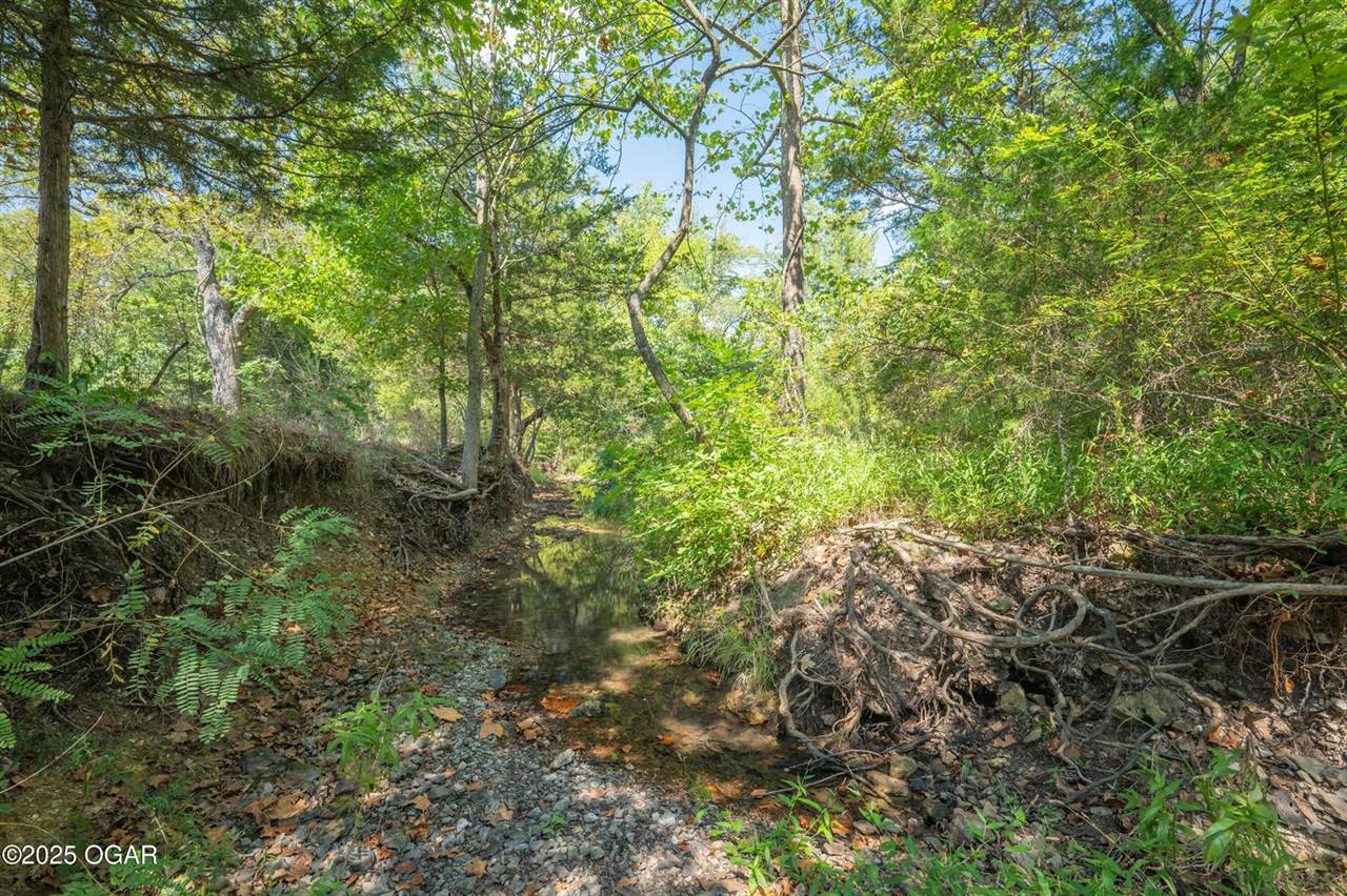 21399B Mulberry Road, Granby, MO 64844