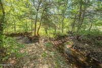 21399B Mulberry Road, Granby, MO 64844