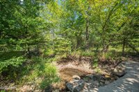 21399B Mulberry Road, Granby, MO 64844
