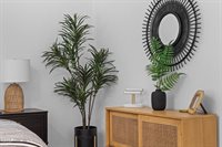 940 Linden Road, Moore County, NC 28374