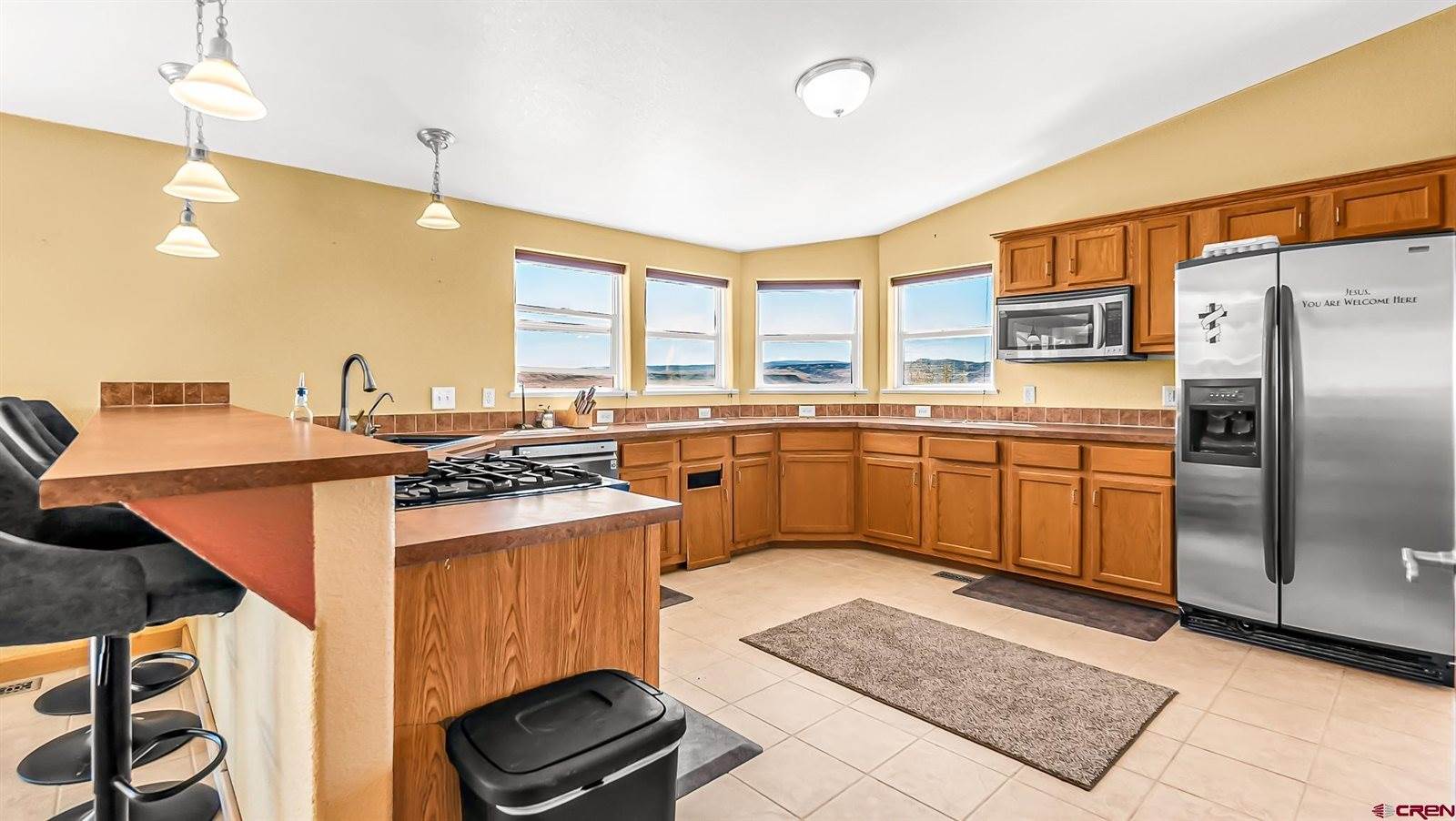 25747 Cougar Mountain Road, Hotchkiss, CO 81410