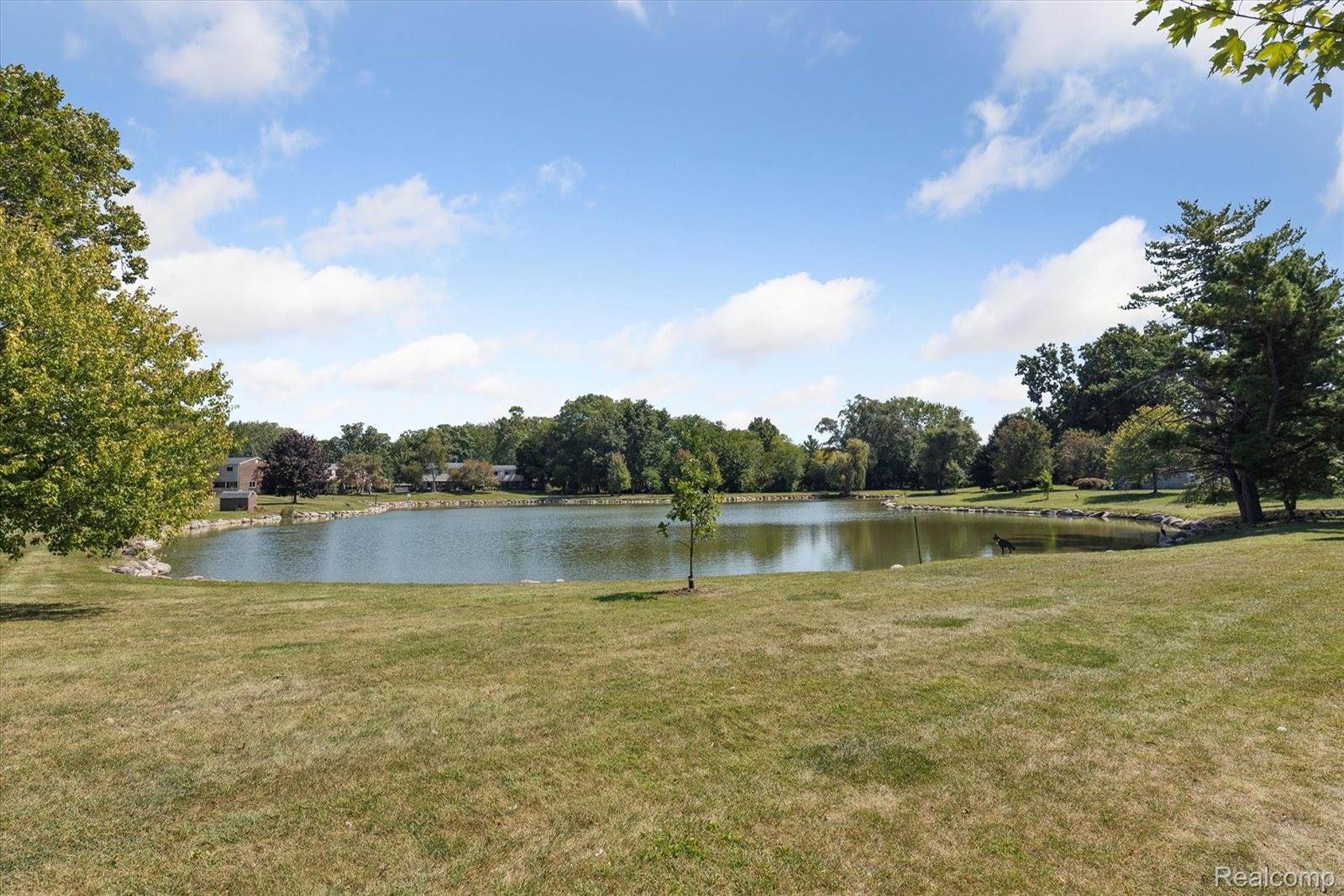 8346 Lakeview Drive, SuperiorCharterTownship_Washtenaw, MI 48198