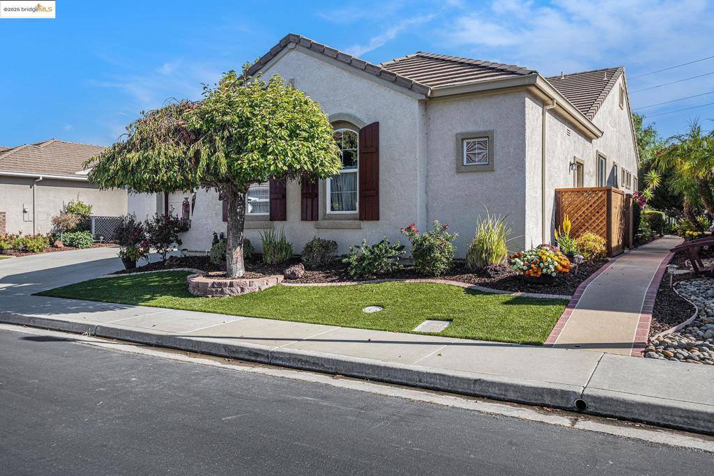 452 Tayberry Ln, Brentwood, CA 94513