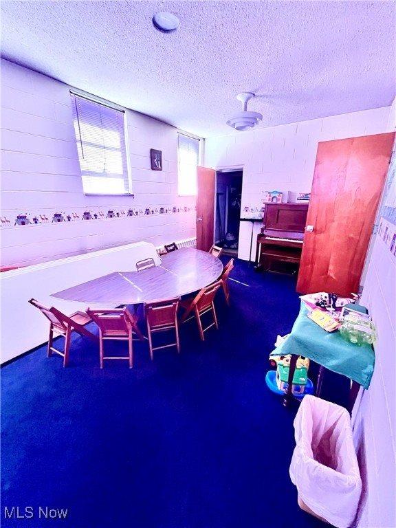 14394 Youngstown Pittsburgh Road, Petersburg, OH 44454