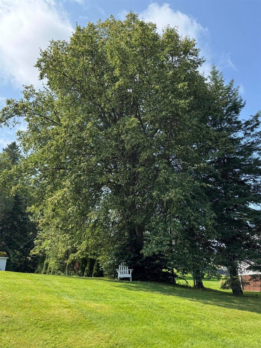 137 Fox Street, Madawaska, ME 04756