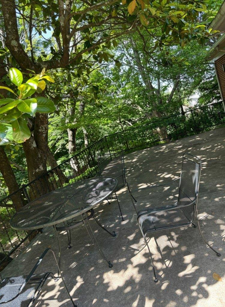 114 Raspberry Rd, Woodlawn, VA 24381