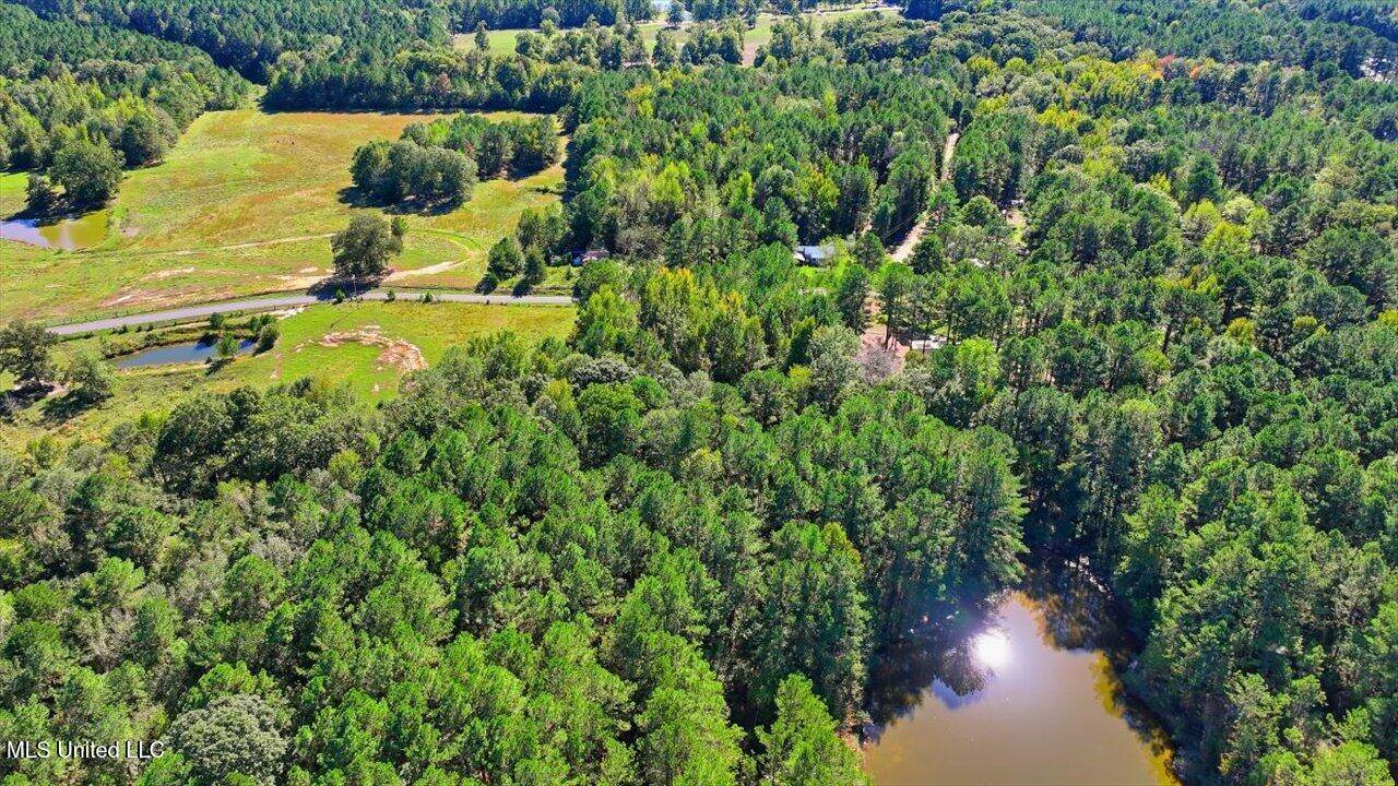 0 North Enoch Grove Road, Florence, MS 39073