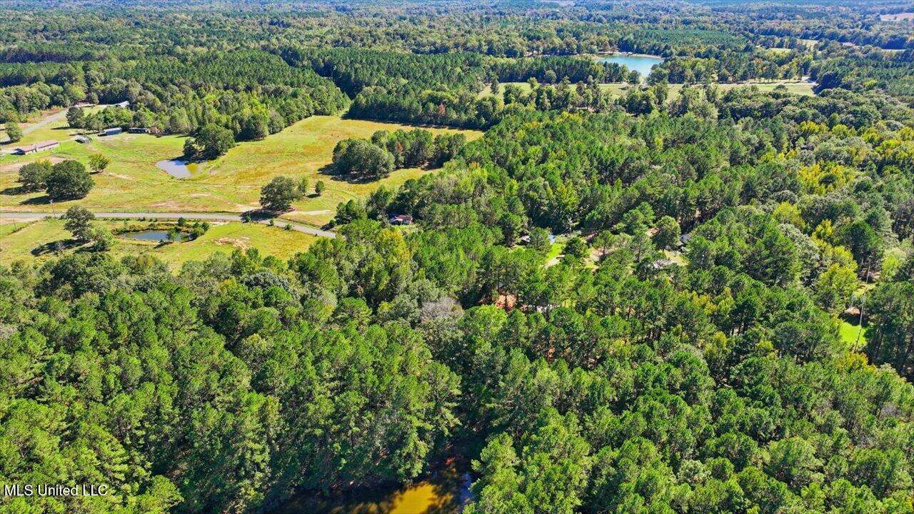 0 North Enoch Grove Road, Florence, MS 39073