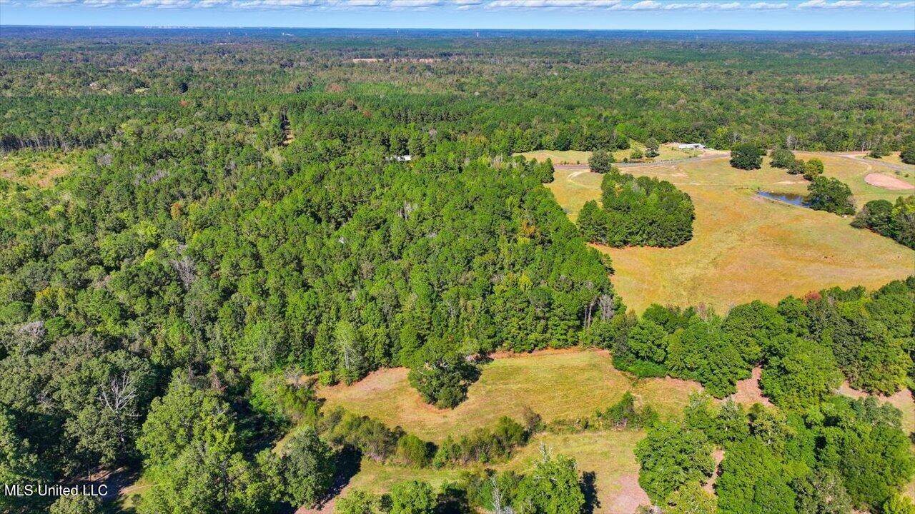 0 North Enoch Grove Road, Florence, MS 39073