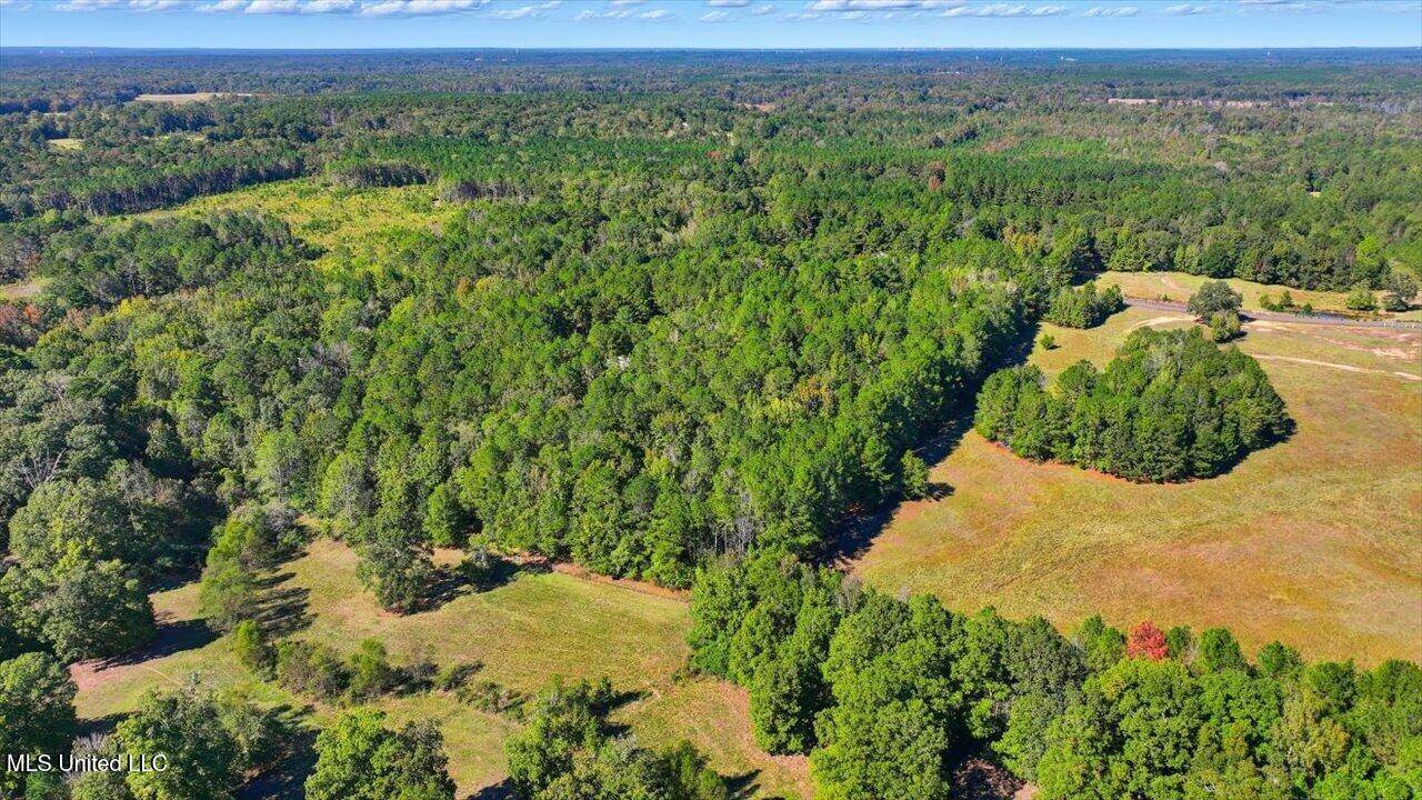 0 North Enoch Grove Road, Florence, MS 39073