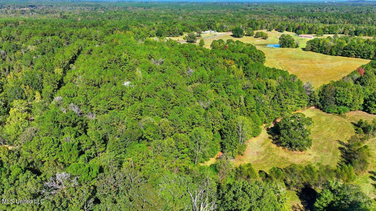 0 North Enoch Grove Road, Florence, MS 39073