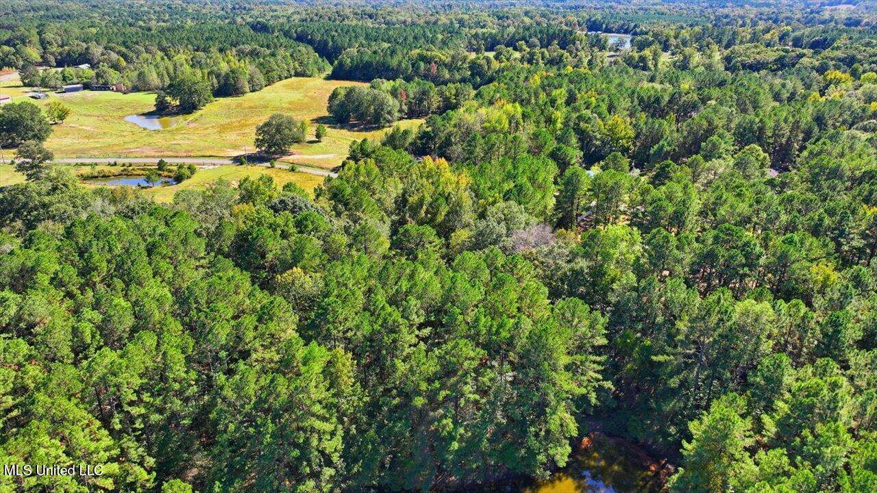 0 North Enoch Grove Road, Florence, MS 39073