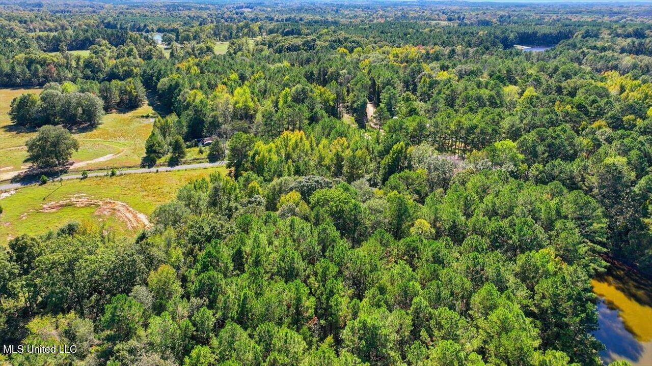 0 North Enoch Grove Road, Florence, MS 39073