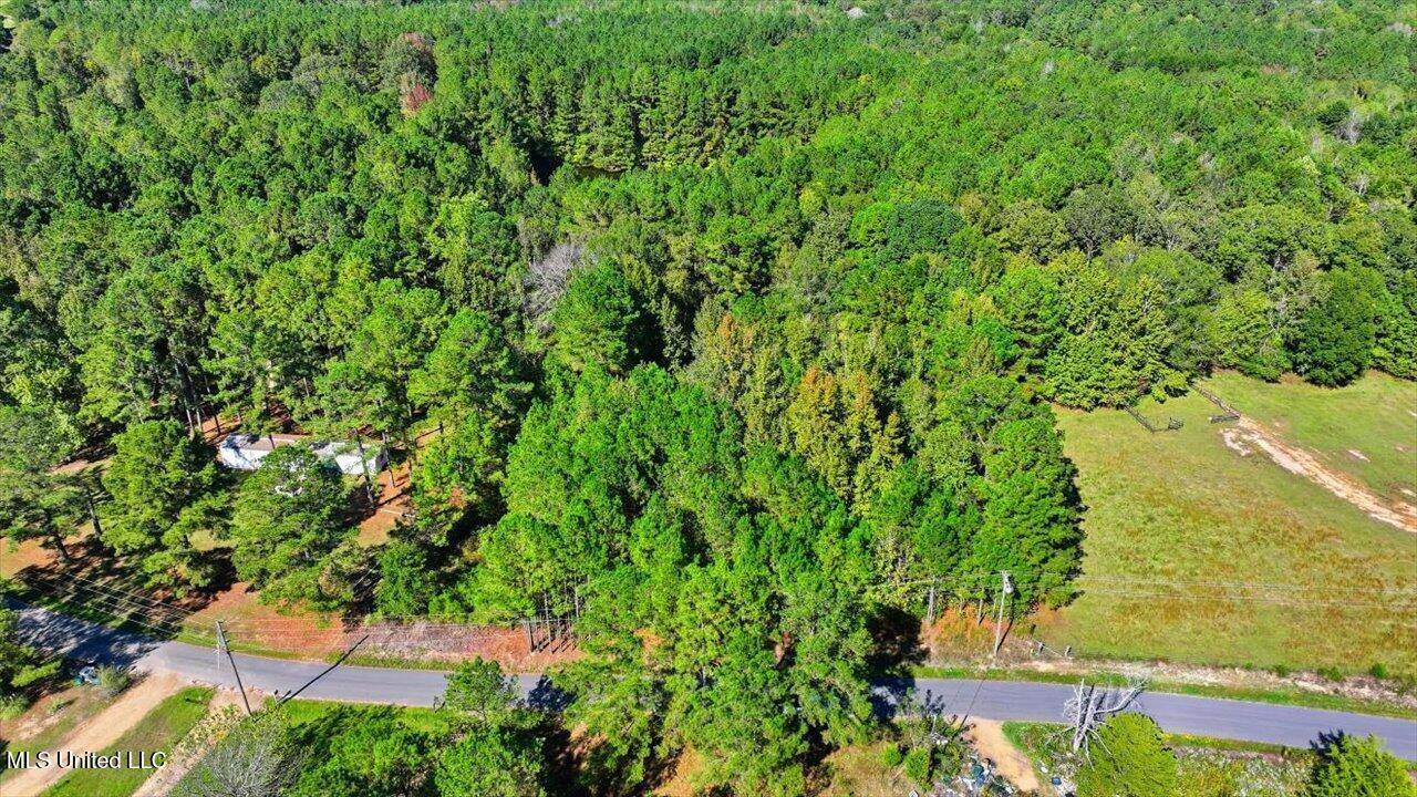 0 North Enoch Grove Road, Florence, MS 39073