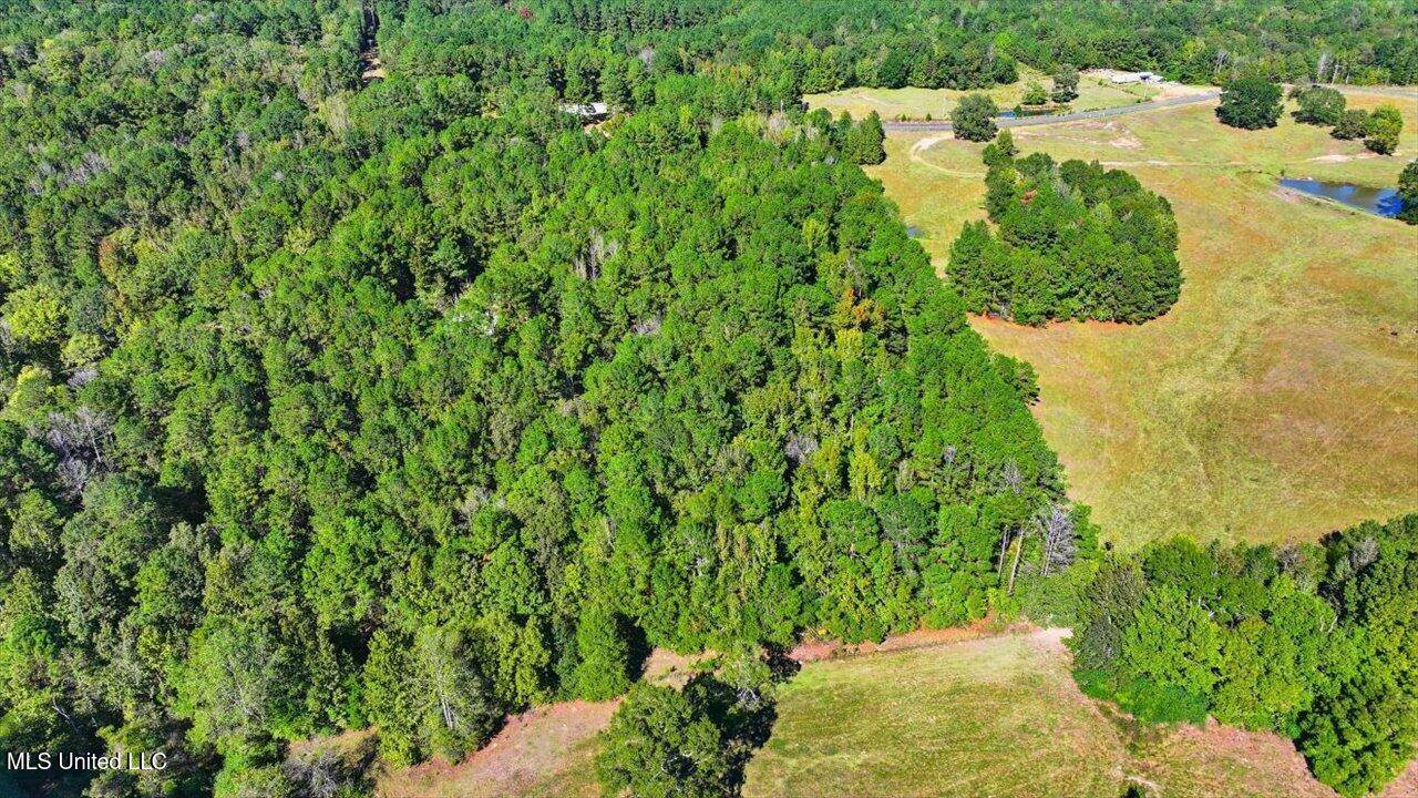 0 North Enoch Grove Road, Florence, MS 39073